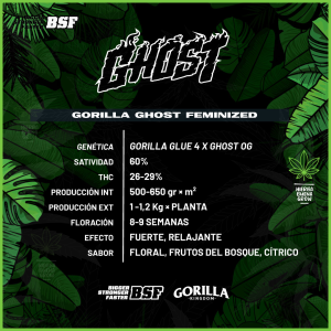 BSF - Gorilla Ghost - 60% Sativa / 40% Indica