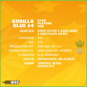 BSF - Gorilla Glue Auto - 60% Indica / 40% Sativa