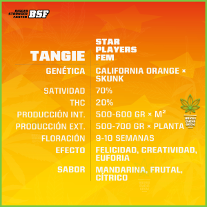 BSF - Tangie - 80% Sativa / 20% Indica