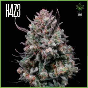 H4Z3 – Gods Juice (Drop Radical Juice)