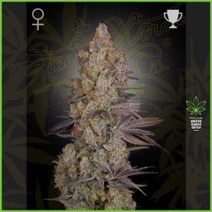 Green House - Exodus Cheese - 60% Sativa / 40% Indica
