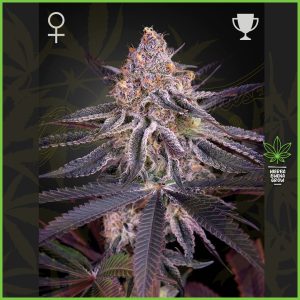 Green House - King's Juice - 60% Sativa / 40% Indica