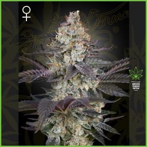 Green House - Ztrawberry- 60% Indica / 40% Sativa