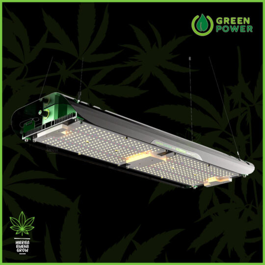 Green Power - GP 240w - Samsung LM301H