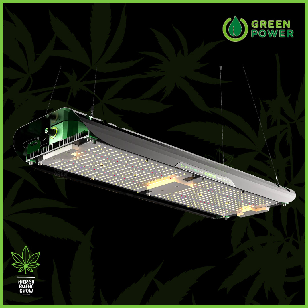 Green Power - GP 240w - Samsung LM301H