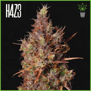 H4Z3 - Strawberry Oreo - 60% Sativa / 35% Indica / 5% Rudelaris