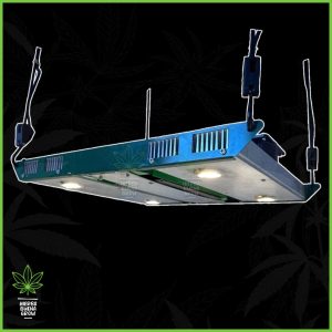 HB - Panel - Cree led 300w - Citizen