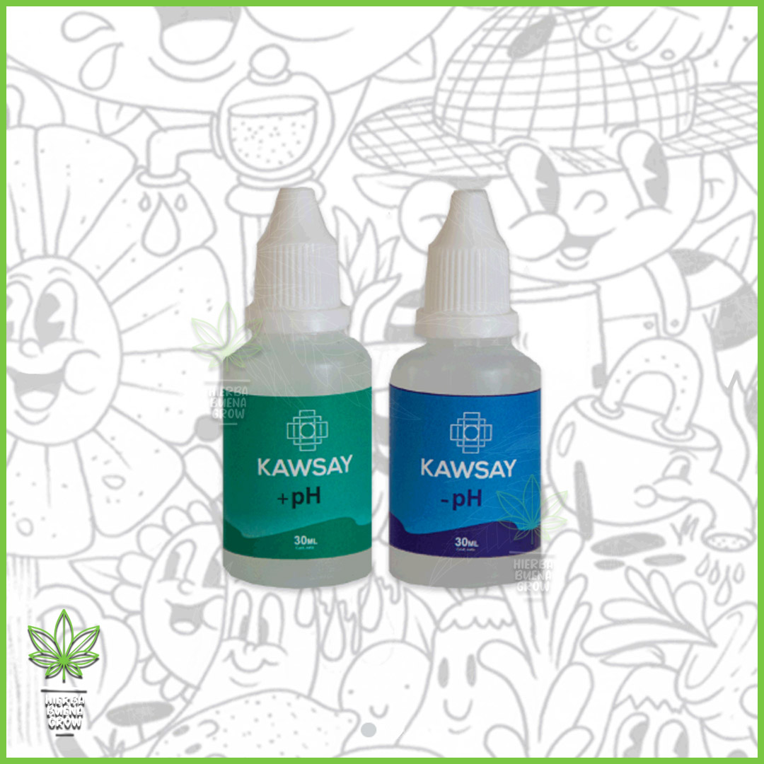 Kawsay - Ph+ Ph-