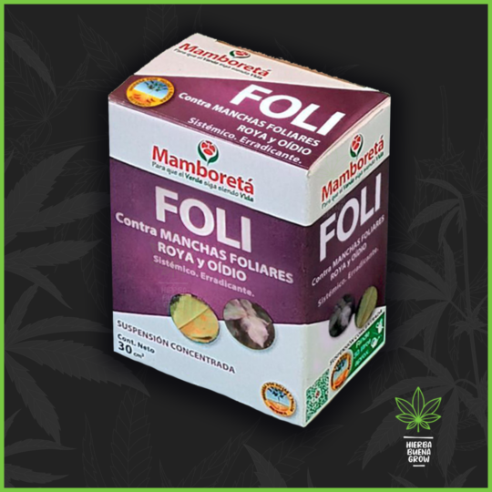 Mamboreta - Foli