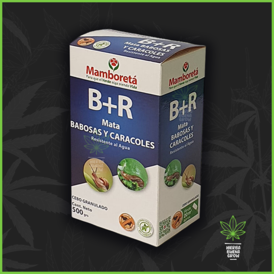 Mamboreta - B+R - Babosas y Caracoles