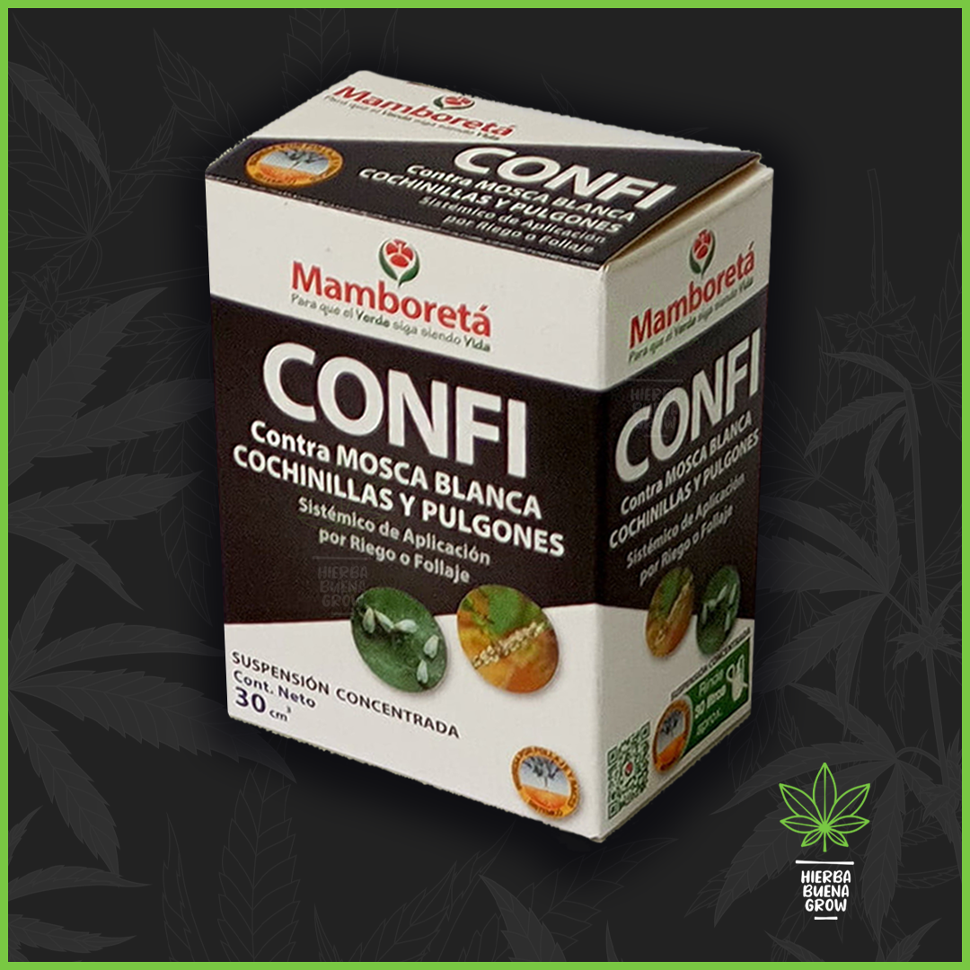 Mamboreta - Confi