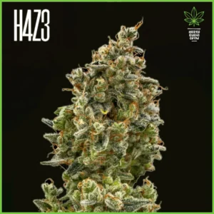 H4Z3 – Pasion Tropical (Drop Peach Crescendo)