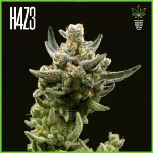 H4Z3 – Planet Peach (Drop Peach Crescendo)