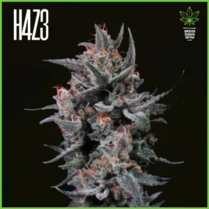 H4Z3 – Rad Sky (Drop Radical Juice)