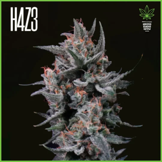 H4Z3 – Rad Sky (Drop Radical Juice)