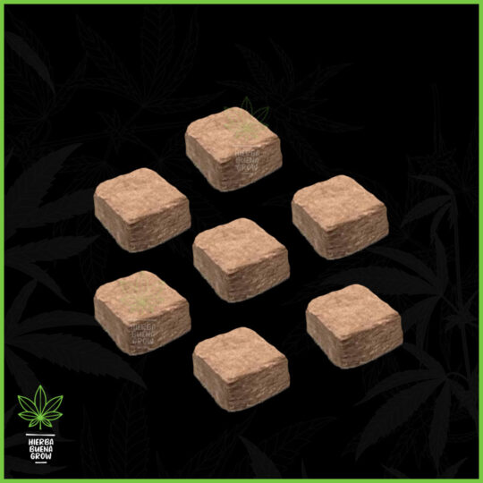 Brota - Lana de roca - 1u - 5x5x5