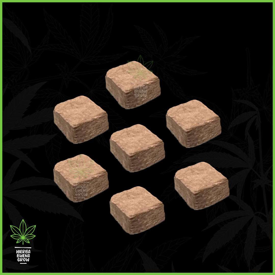 Brota - Lana de roca - 1u - 10x10x5