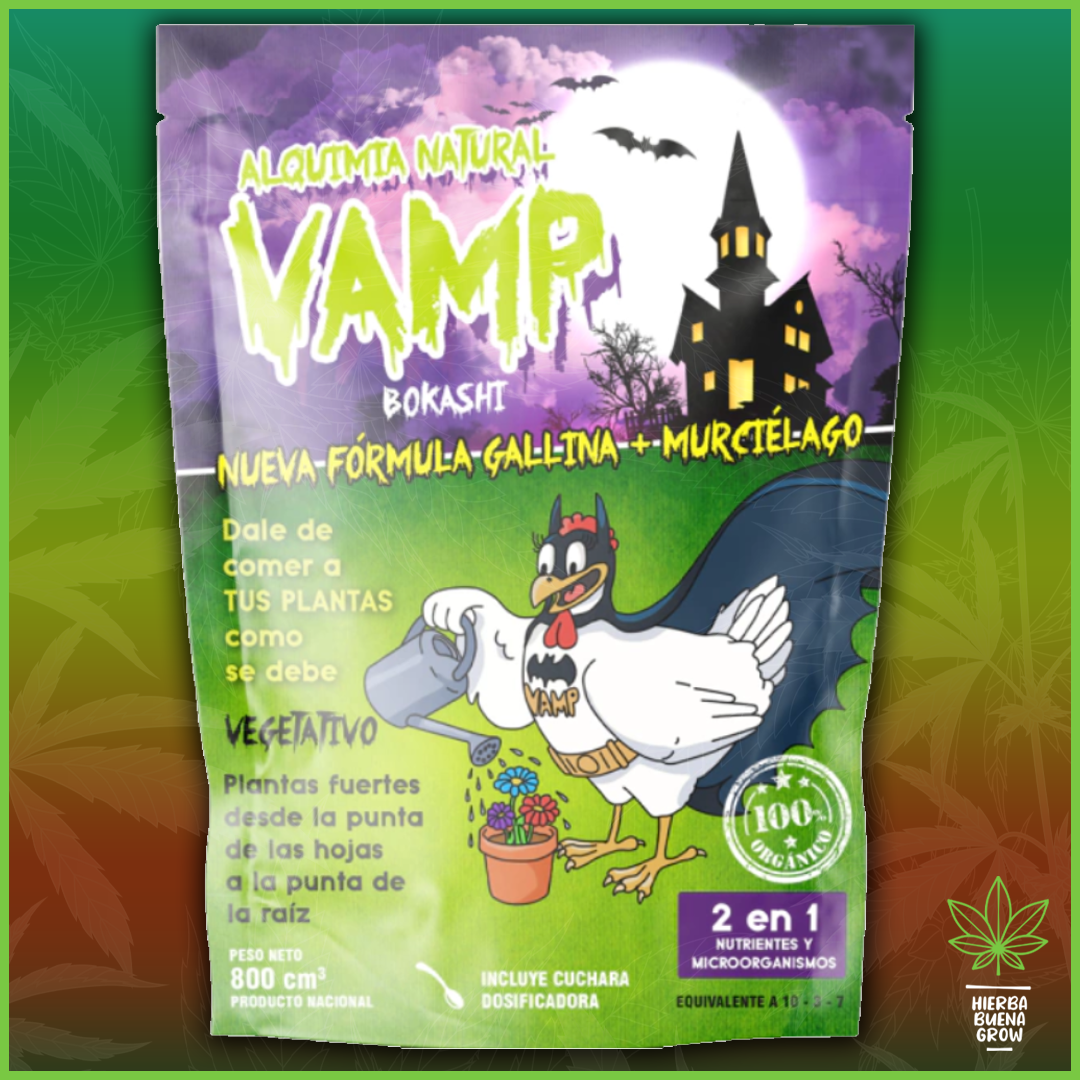 Vamp - Gallina Murcielago - 800cc