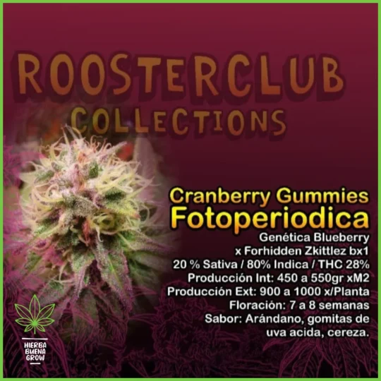 Rooster Club – Cranberry Gummies – 20% Sativa / 80% Indica