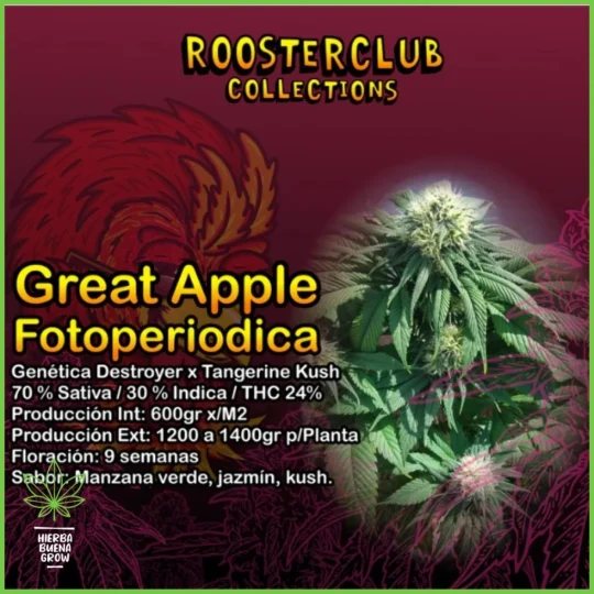 Rooster Club – Great Apple – 70% Sativa / 30% Indica