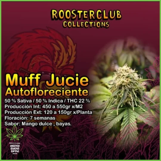 Rooster Club – Muff Jucie Auto – 50% Sativa / 50% Indica