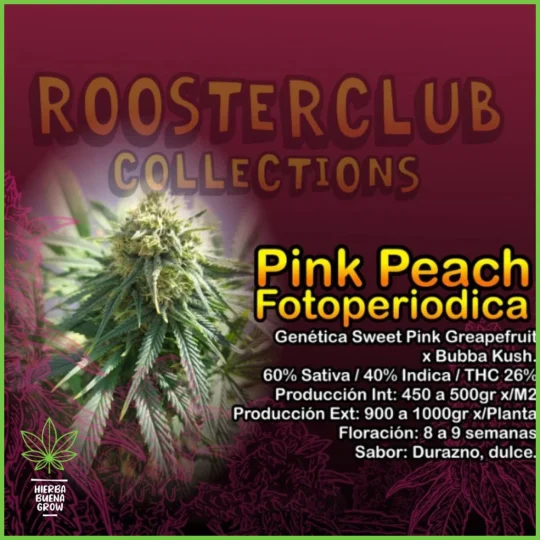 Rooster Club – Pink Peach – 60% Sativa / 40% Indica