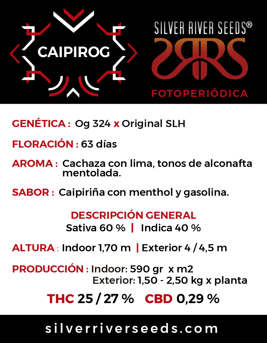 Silver River – Caipirog - Imagen 2