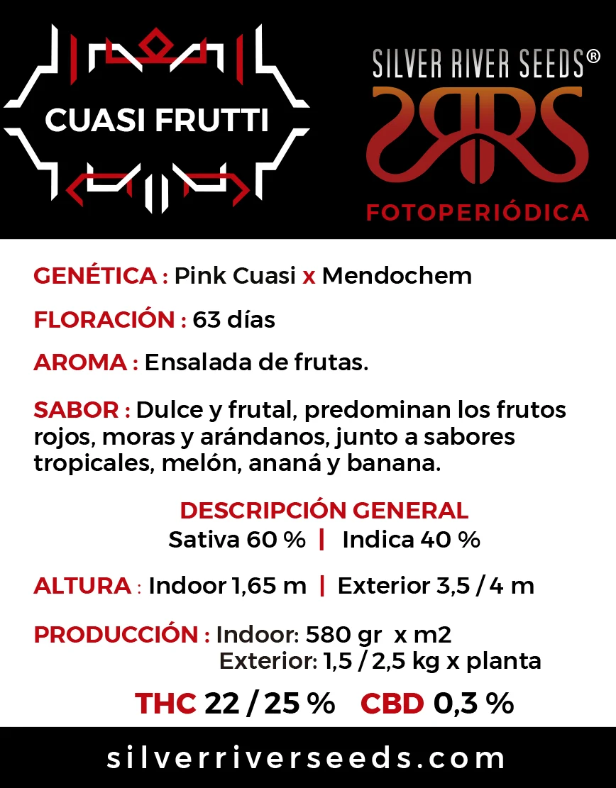 Silver River – Cuasi Frutti - Imagen 2