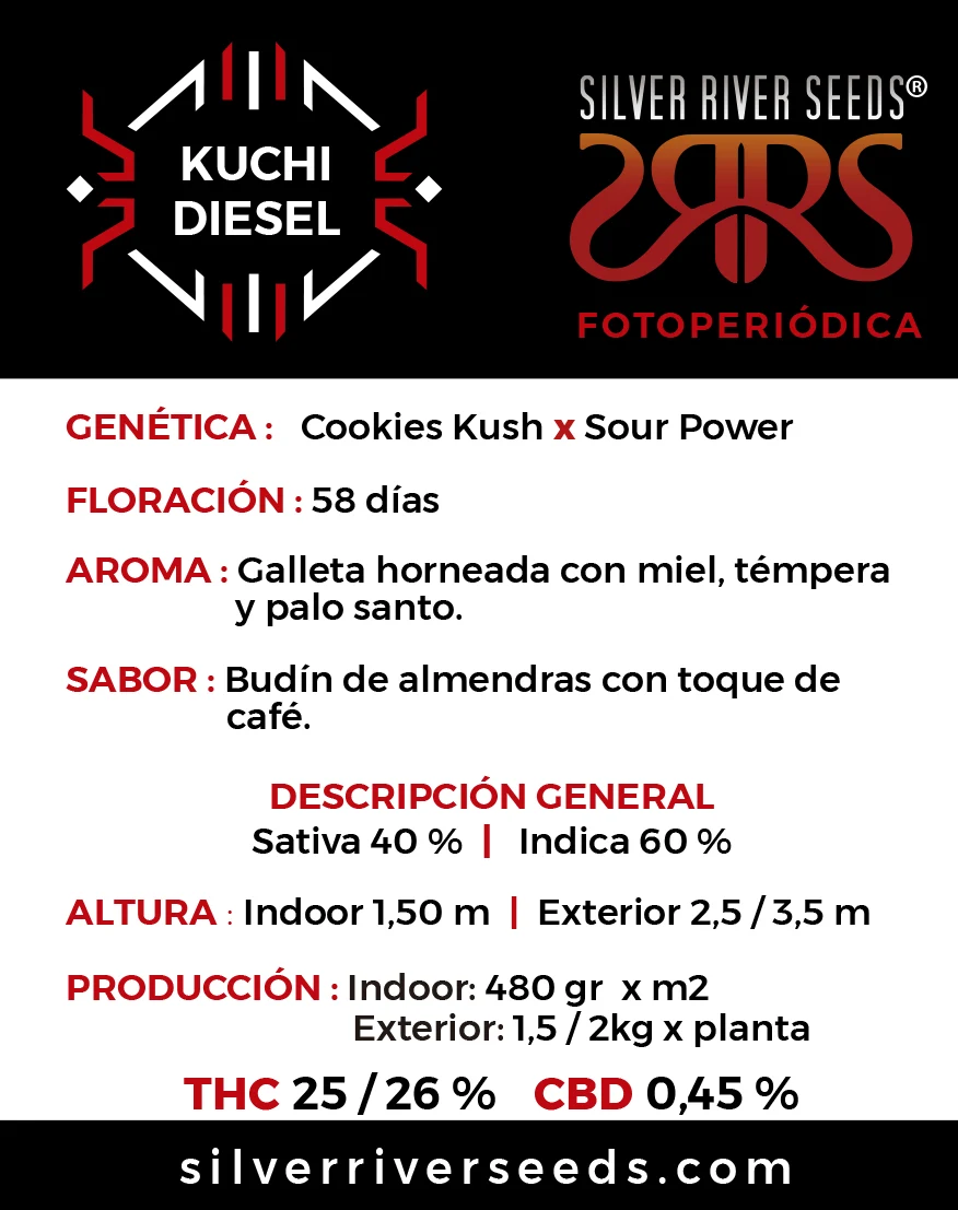 Silver River – Kuchi Diesel - Imagen 2