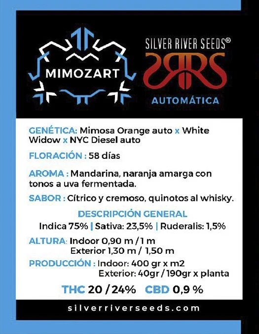Silver River – Mimozart - Imagen 2