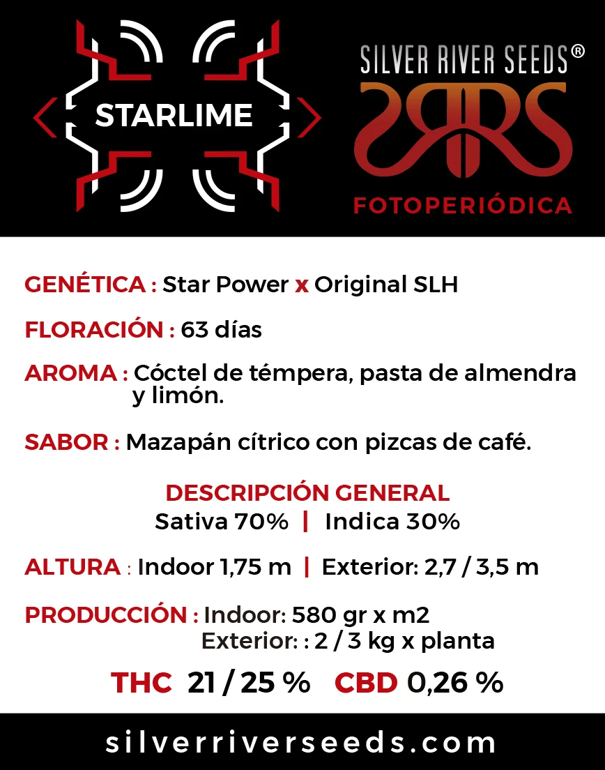 Silver River – Starlime - Imagen 2