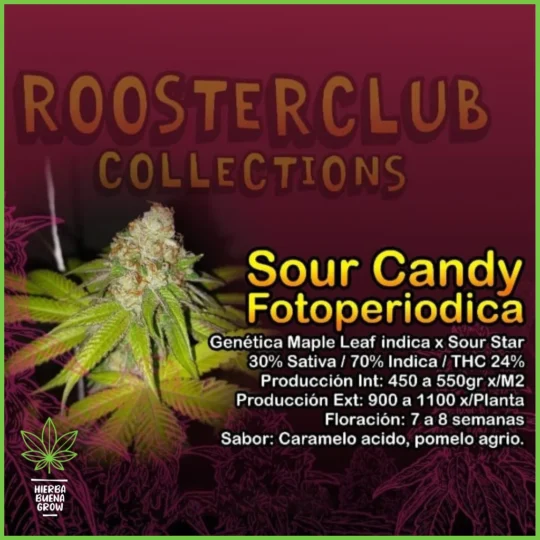 Rooster Club – Sour Candy – 30% Sativa / 70% Indica