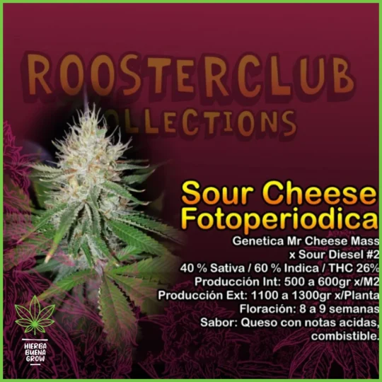 Rooster Club – Sour Cheese – 40% Sativa / 60% Indica