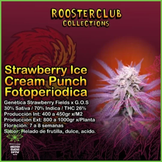 Rooster Club – Strawberry Ice Cream Punch – 30% Sativa / 70% Indica