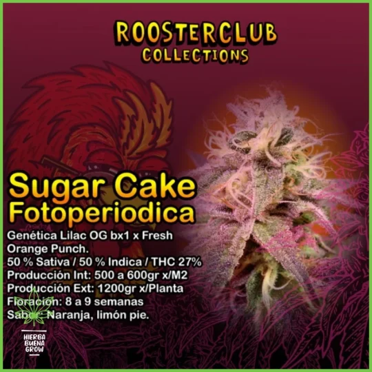 Rooster Club – Sugar Cake – 50% Sativa / 50% Indica
